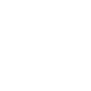 goedkoop wordpress website